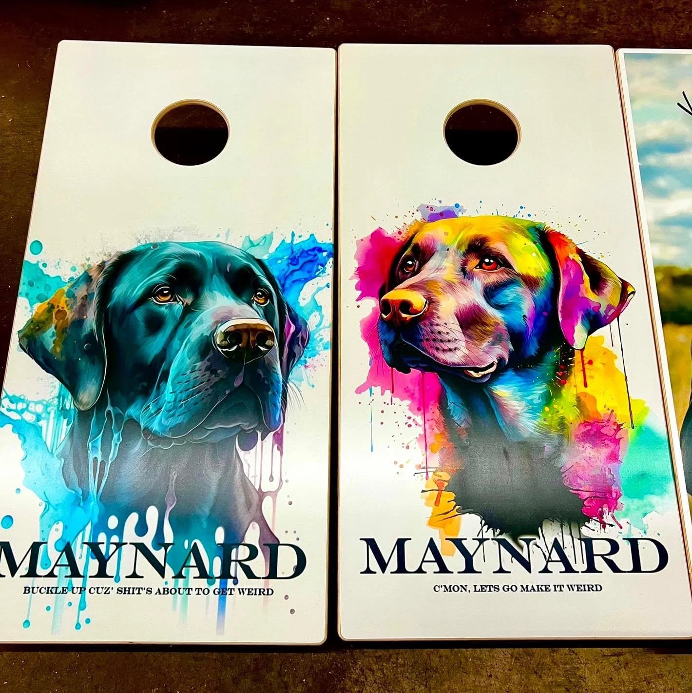 Custom Cornhole Boards Set